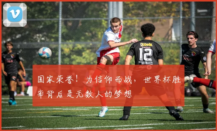 国家荣誉!为信仰而战,世界杯胜率背后是无数人的梦想